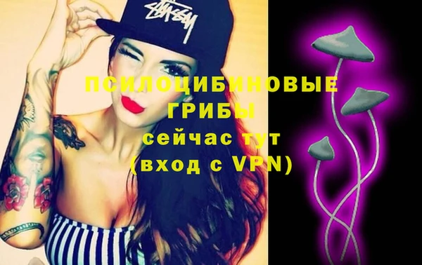 прущие грибы Навашино