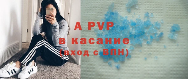прущие грибы Навашино