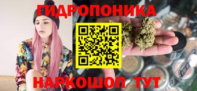 МДПВ Новодвинск