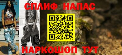 крисы Новокубанск