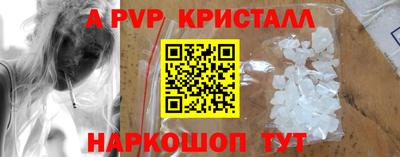 крисы Новокубанск