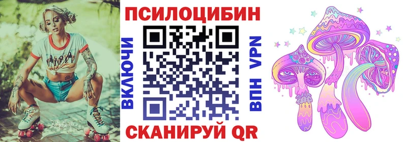 Псилоцибиновые грибы Psilocybe  Шадринск 