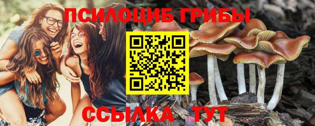 Галлюциногенные грибы Magic Shrooms Шадринск