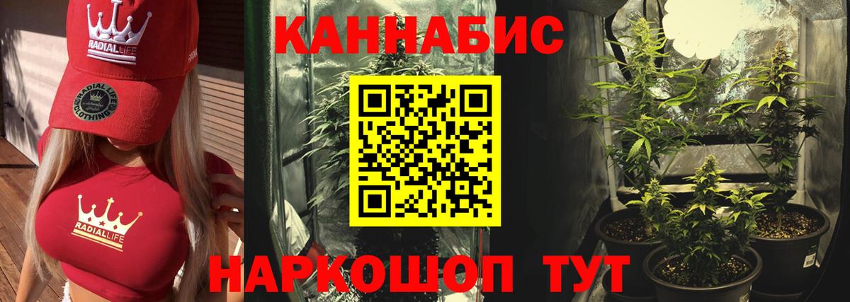 Бошки Шишки VHQ Шадринск